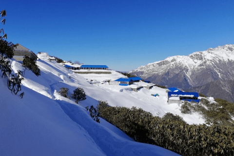 Kathmandu: 5-Day Mardi Himal Trek with Guide and Flights