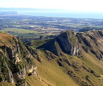 Napier: Art-Deco + Te Mata Peak+ Garden Walk + Wine Tasting