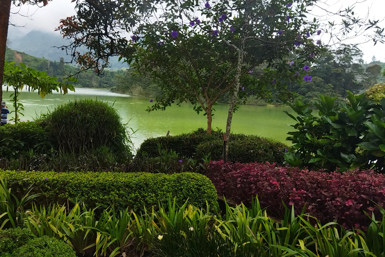 Från Yogyakarta: Diengplatån Golden Sunrise med guide