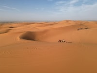 从Merzouga到FES（仅运输）的一次路旅行 - Housity
