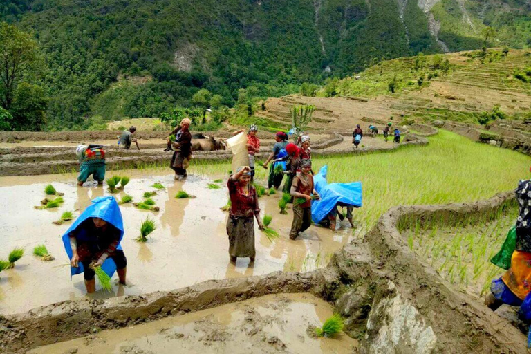 Pokhara: Hidden Villages Tour with Lunch & Hotel Pickup