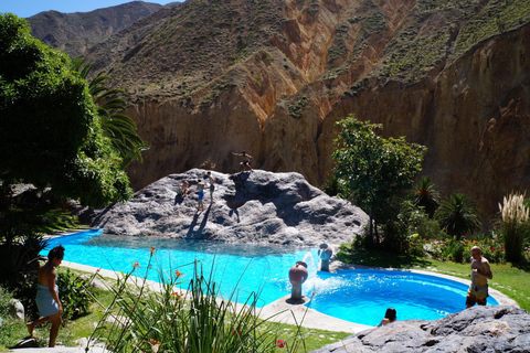 Da Arequipa: escursione di un giorno nel Canyon del Colca con colazione