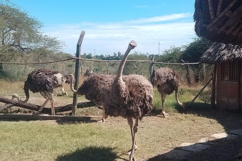 Mombasa: Wildlife Sanctuary Guided Nature Trail Tour Wildlife Sanctuary Guided Nature Trail Tour