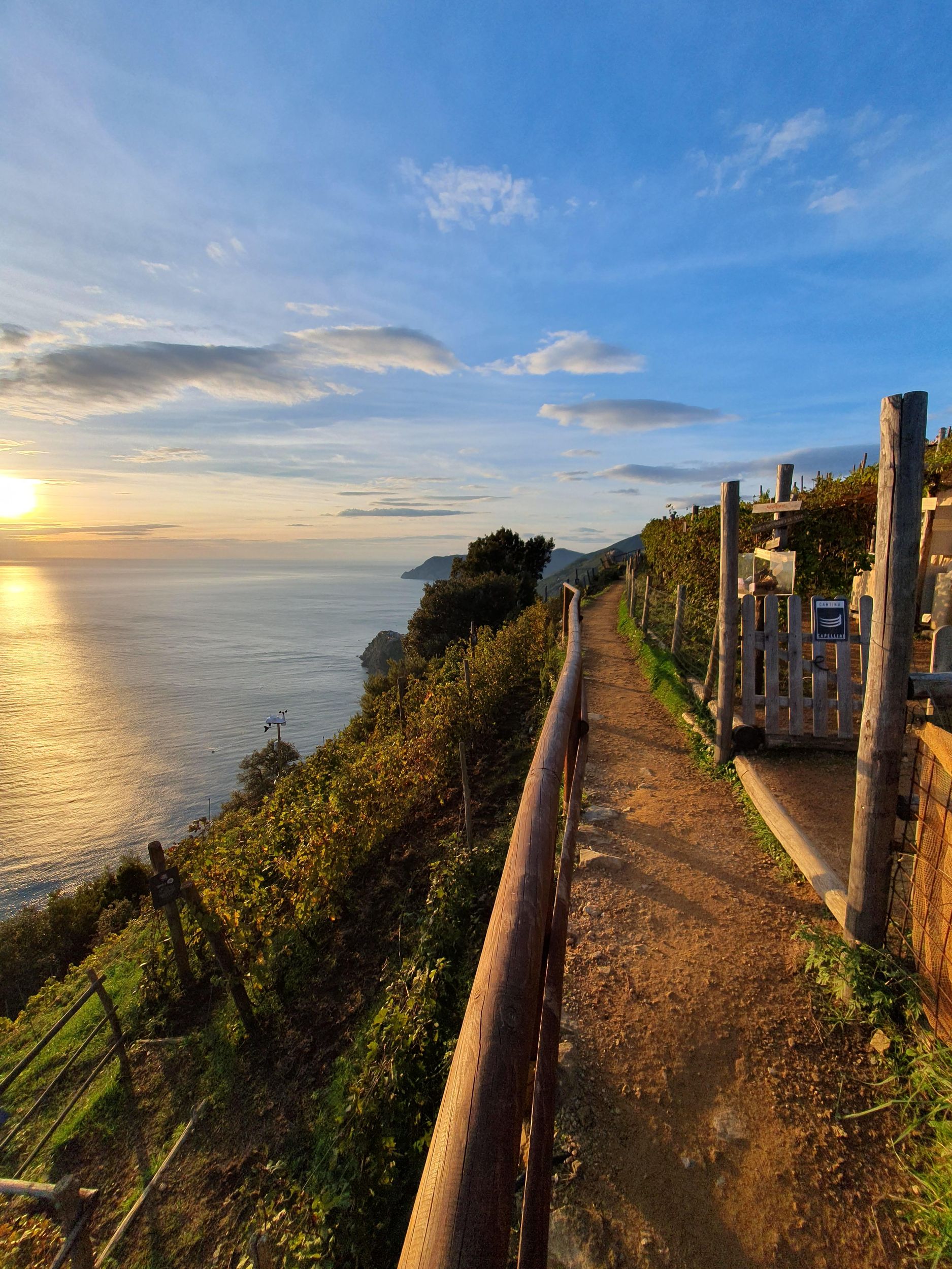 Wanderung in den Cinque Terre: Corniglia–Manarola, Weinprobe im Weinberg mit Gaia