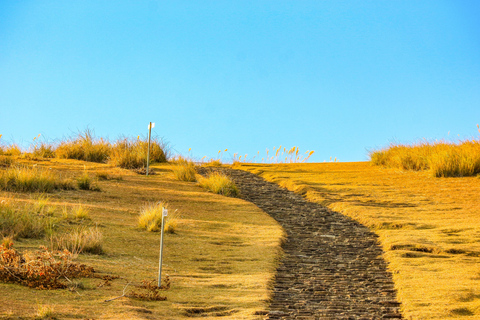 Nara Cherry Blossom Highlights Spring Day Tour from Osaka Shared Tour, Meet at Tsurutontan Soemoncho