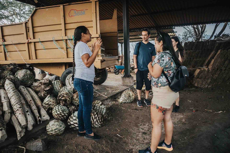 Oaxaca: Crafts & Cuisine Culture Tour