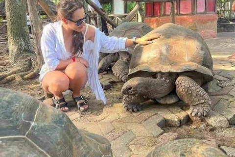 Zanzibar:Sea torttle swim at Salaam & Prison Island Tortoise Private Salaam cave & prison Island. No transfer