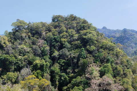 Langkawi: Kilim Geoforest Park Guided Jungle Trek