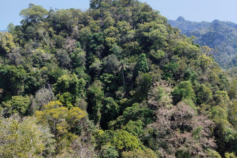 Langkawi: Kilim Geoforest Park Guided Jungle Trek