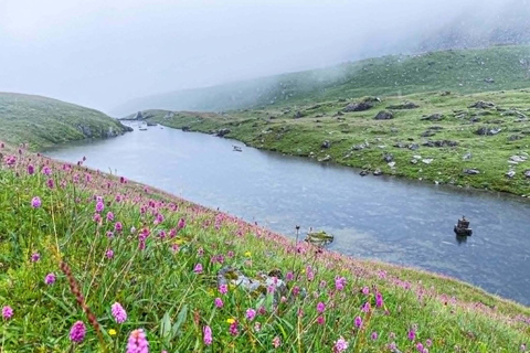 Pokhara: Dhorpatan 2-Day Jeep Tour with lady Guide Pokhara: Dhorpatan 2-Day sharing jeep Tour with lady Guide