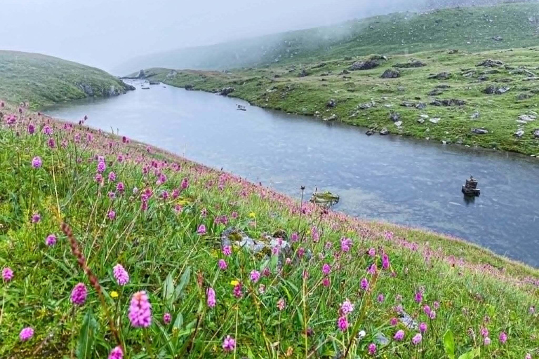 Pokhara: Dhorpatan 2-Day Jeep Tour with lady Guide Pokhara: Dhorpatan 2-Day sharing jeep Tour with lady Guide