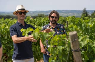 Ab Avignon: Châteauneuf du Pape Halbtagestour Wein