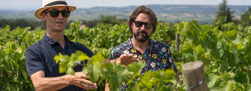 Saindo de Avignon: Excursão de Meio Dia em Châteauneuf-du-Pape