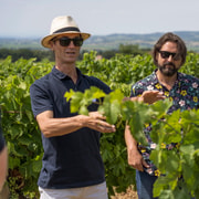 Ab Avignon: Châteauneuf du Pape Halbtagestour Wein