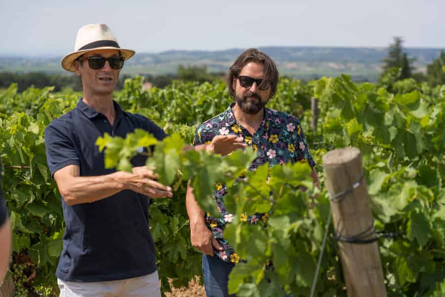 Ab Avignon: Châteauneuf du Pape Halbtagestour Wein. Foto: GetYourGuide Ab Avignon: Châteauneuf du Pape Halbtagestour Wein. Foto: GetYourGuide