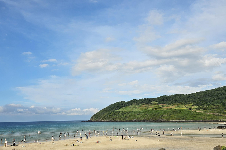 Jeju: Cruise Shore Excursion with Guaranteed Return Gangjeong Port: Tea Fields, Sanbangsan & Gardens
