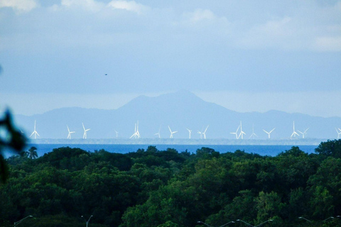 Los Santos, Panama: Wycieczka z przewodnikiem po Finca PamelPanama: Wycieczka z przewodnikiem po Finca Pamel