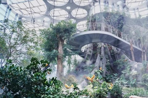 Shanghai: Greenhouse Garden with Optional Tour Guide
