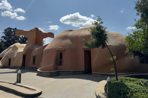 Addis Ababa Layover Tour: Unity Park, Coffee & Local Lunch