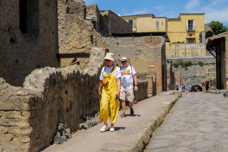 Discover Herculaneum: Guided tour in English of the ancient Roman city Guided tour in English with return train ticket from Naples