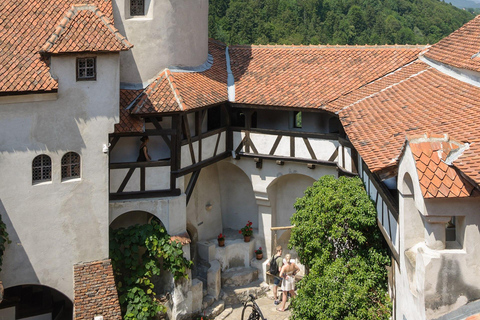 Private DayTrip Bucharest: Brașov, Dracula, Bear Sanctuary