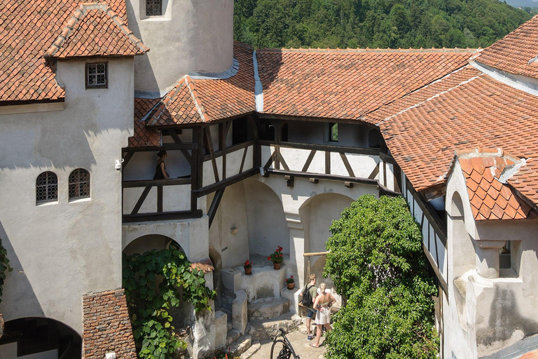 Private DayTrip Bucharest: Brașov, Dracula, Bear Sanctuary