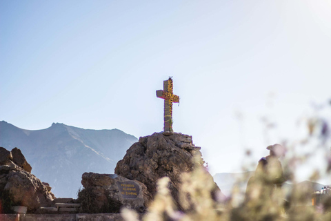 Tour di un giorno intero del Canyon del Colca con colazione Prezzo promozionale