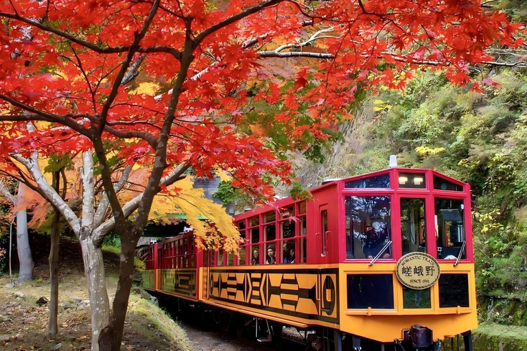 Osaka: Kyoto världsarv &amp; Nara Cute Deer 1-Day Busstur