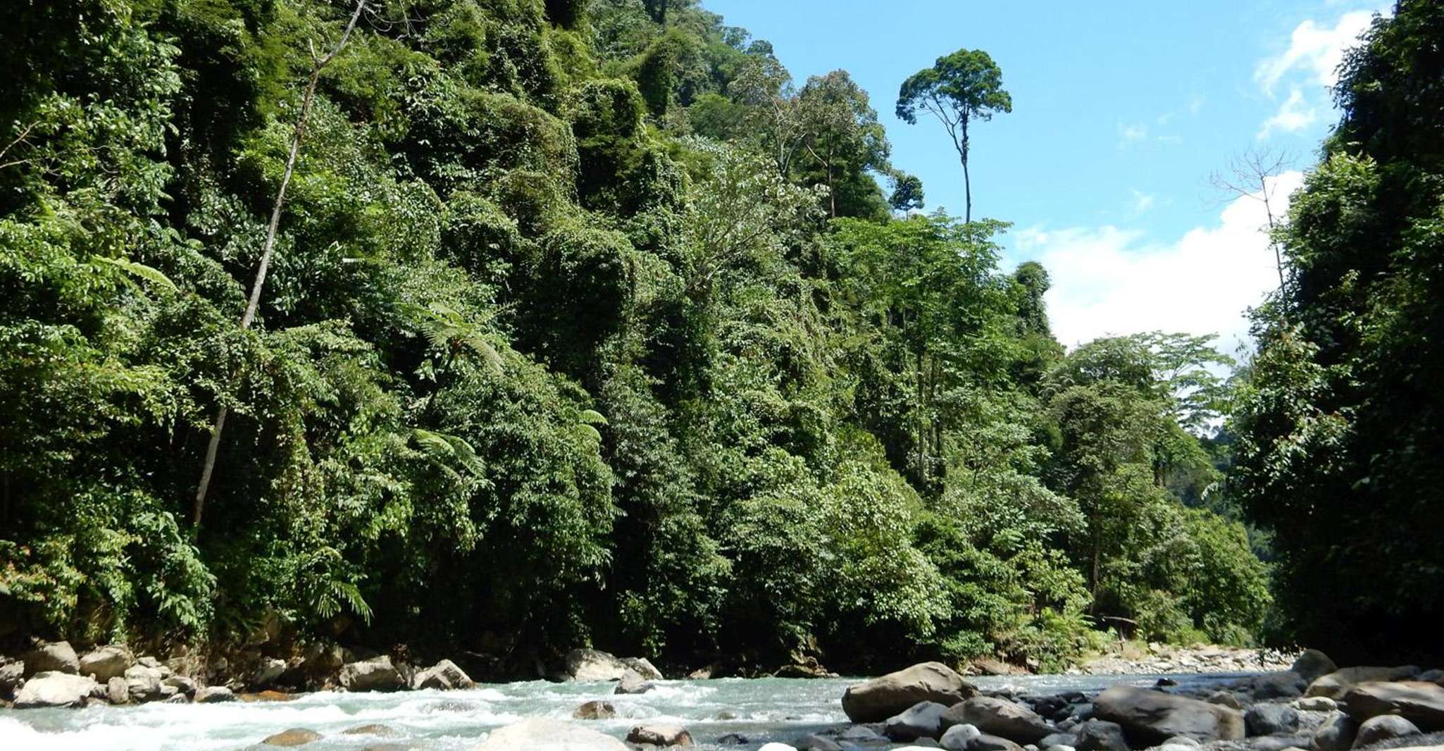 Suitetrails - From Medan, 4 day tour to Bukit Lawang incl. jungle trek