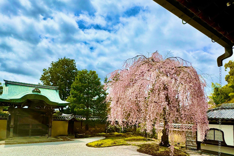 Kyoto: Fully customizable half day tour in the old capital