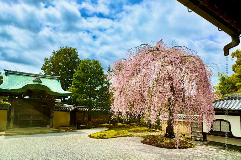 Kyoto: Vollständig anpassbare Halbtagestour durch die alte HauptstadtKyoto: Vollständig anpassbare Halbtagestour in der alten Hauptstadt