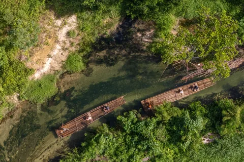 Khao Lak: Bamboo Rafting and Turtle Conservation Day Tour