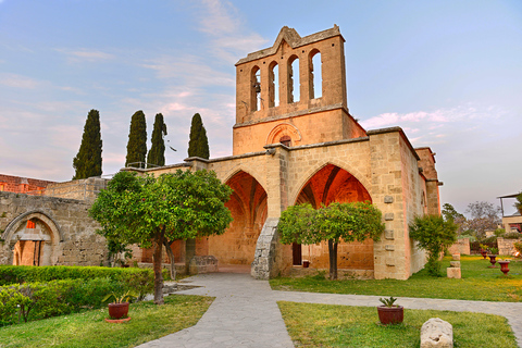 凯里尼亚和尼科西亚，波兰语导游陪同