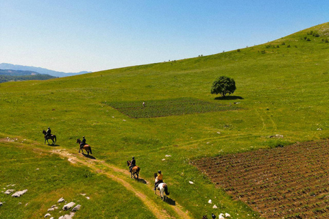Dublin Mountains: Scenic Guided Horseback Ride 2-hr Dublin Mountains: Scenic Guided Horseback Ride