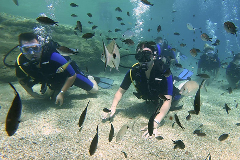 Heraklion: Lección de buceo para principiantes con instructor PADIInmersión para principiantes en la bahía de Agia pelagia - Sin traslado