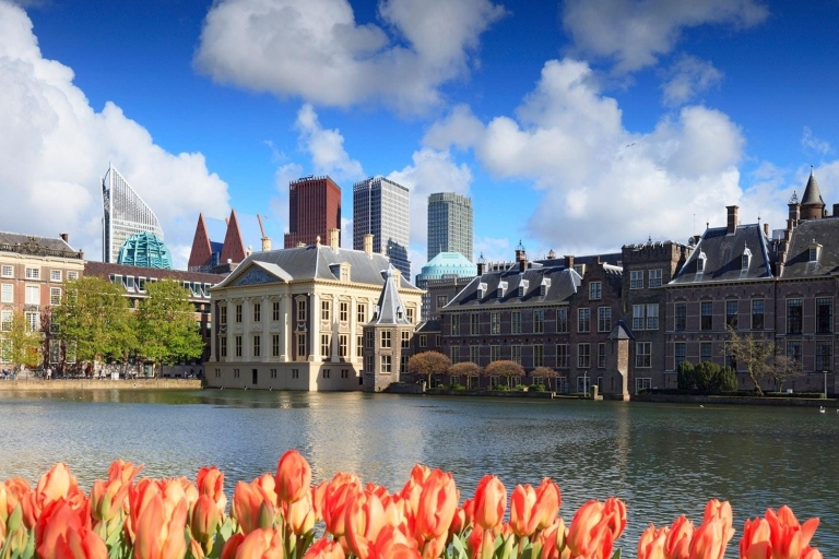Búsqueda del tesoro electrónica: explora La Haya a tu ritmoe-Búsqueda del tesoro: explora La Haya a tu ritmo