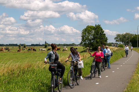 Amsterdam : visite en vélo électrique de 3 h à la campagne