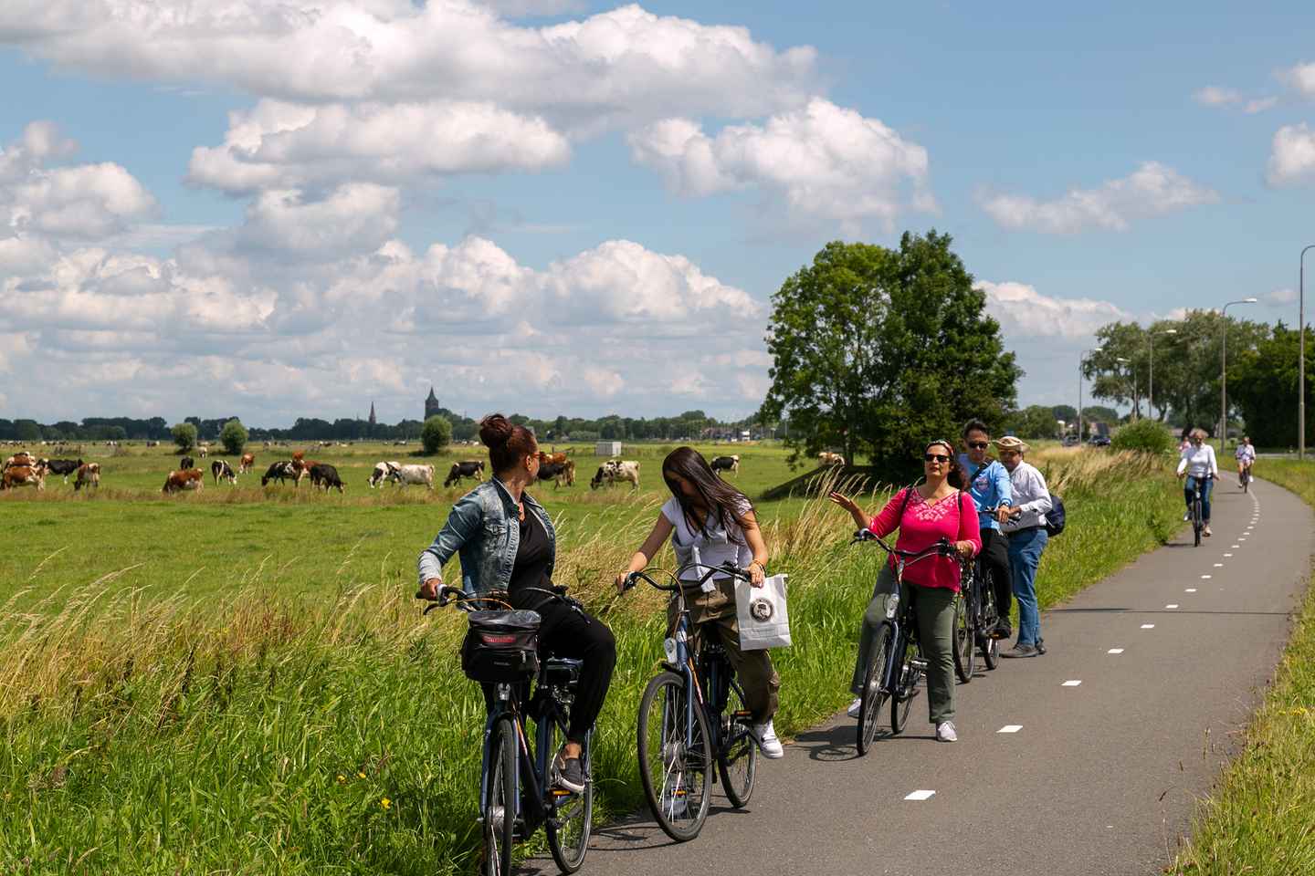 Amsterdam: Balade à vélo moulin, fromage et campagne