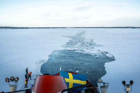 Icebreaker Cruise & Ice Floating Experience Own Transport