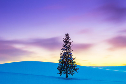 Hokkaido: Asahiyama Dierentuin, Shirahige Val, Ningle Terras Dag