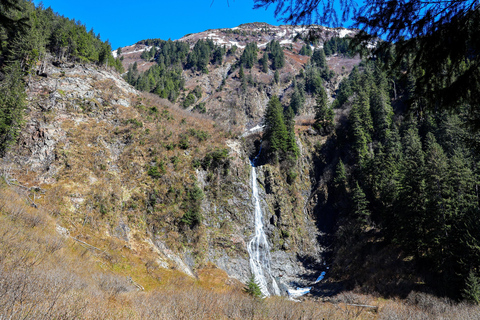 Sitka: Private Guided Tongass National Forest Hiking Tour Sitka: Private Guided Hiking Tour-Half Day