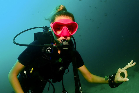 Phuket: SCUBA DUIKEN 3 duiken dagtrip Koh Phi Phi/Shark Point