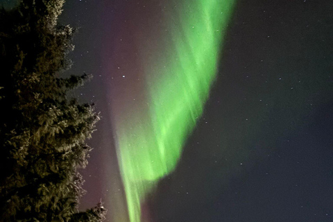 Vanuit Saariselkä/Inari: Aurora-jachttour, kampvuur en snacksVanuit Saariselkä/Inari: op jacht naar het noorderlicht, kampvuur en snacks