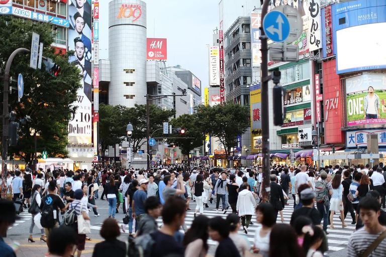 Tokyo Prestige: Luxury Chauffeur Tour with Private Guide 10 Hours Customized Tokyo Tour in Luxury Alford or Vellfire