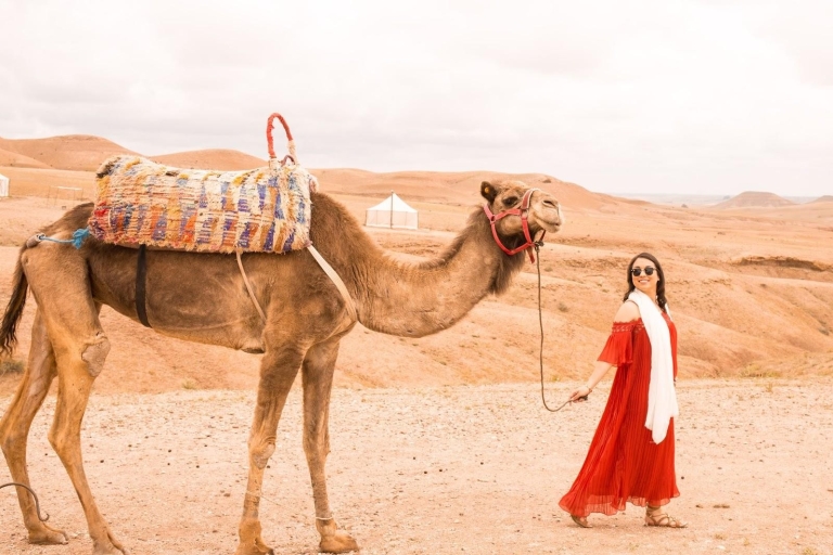 Marrakech: Sunset Camel Ride &Dinner in Agafay Desert Marrakech: Sunset Camel Ride and Dinner in Agafay Desert