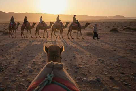 Marrakech: Agafay Wüste Quad &amp; Kamelreiten mit Dinner ShowMarrakesch: Quad- und Kamelritt in der Agafay-Wüste mit Dinner-Show