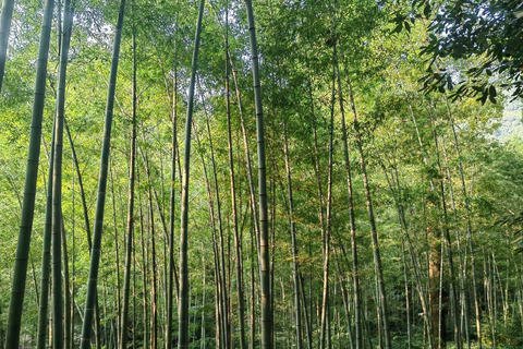 Hangzhou Jiuxi, Shililangdang & Yunqi Day Hiking Tour