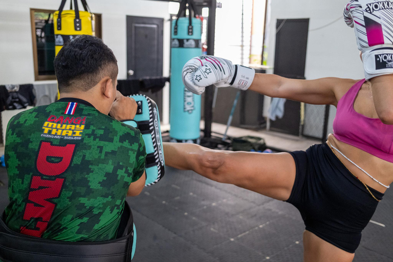 Chiang Mai: Boxing Muay Thai Class with Professional Trainer