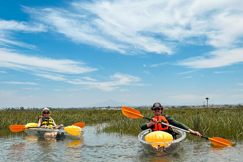 San Diego: excursión en kayak para observar la fauna salvaje en aguas cristalinasSan Diego: excursión en kayak para observar la fauna salvaje con aguas cristalinas