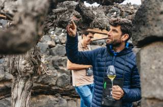 Lanzarote: Begib dich auf eine Weinprobe in der Bodega El Grifo